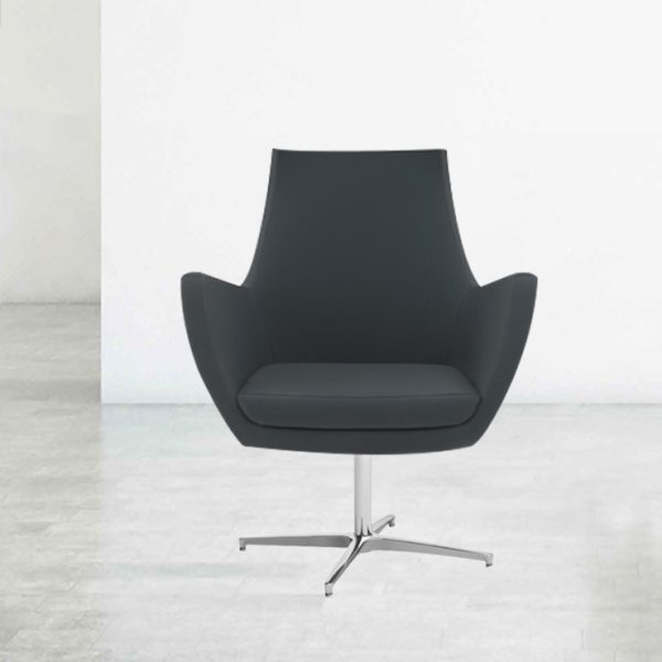 armchair, an embodiment of modern design and comfort.