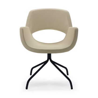 rounded armchair, a harmony of design and comfort.