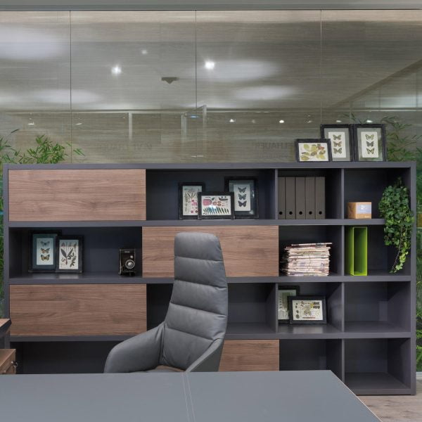 Luxury office cabinets